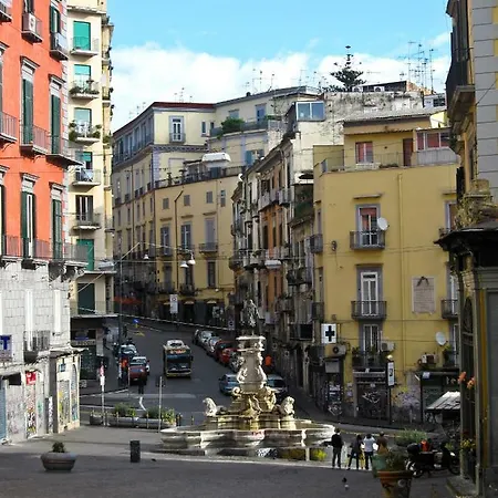 Vicere By Domusextra